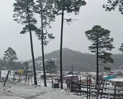 Frente Frío 15 llegará a Durango y podría dejar mucho más que frío y lluvia