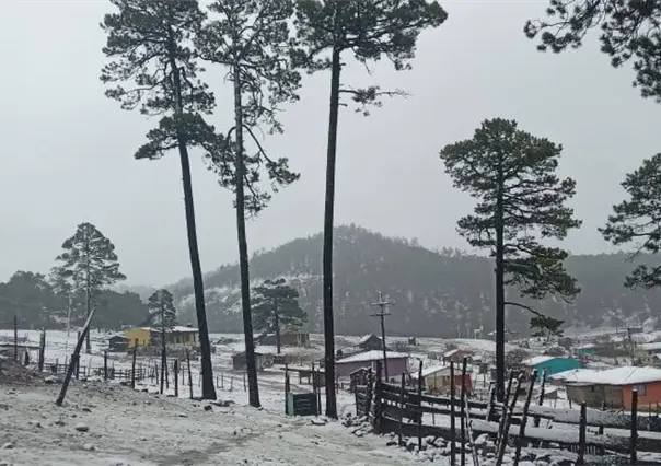 Frente Frío 15 llegará a Durango y podría dejar mucho más que frío y lluvia