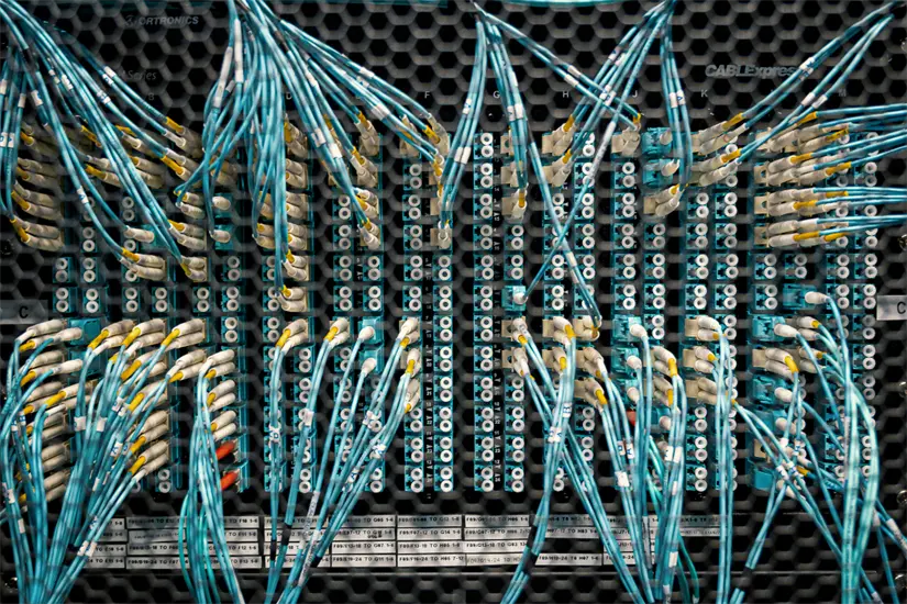 Cables de un servidor. Foto: Canva