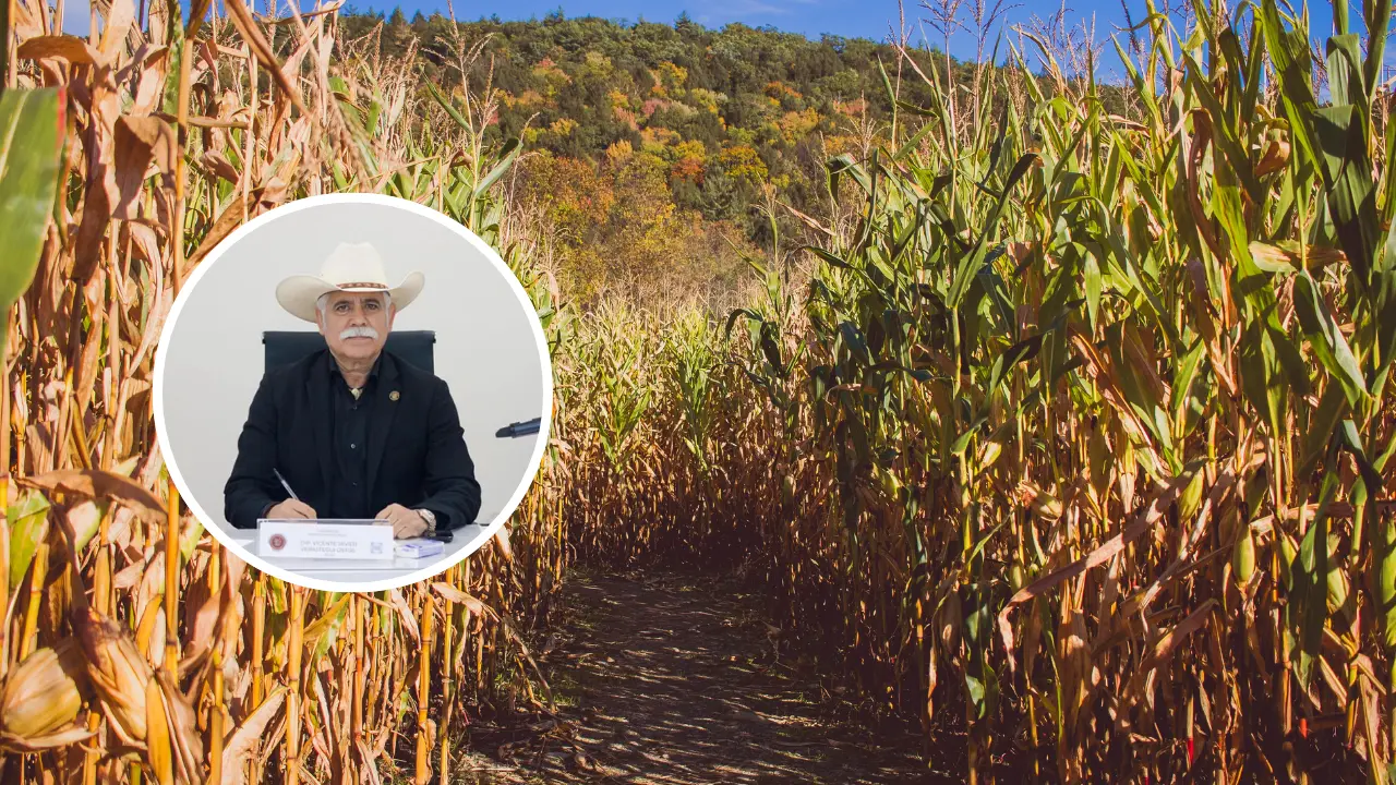 Los cañeros consideran que esta medida podría marcar el inicio de la recuperación del sector | Foto: Freepik