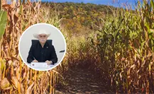 Productores de azúcar en Tamaulipas a favor de aranceles del 210% para frenar su importación Productores de azúcar en Tamaulipas a favor de aranceles del 210% para frenar su importación