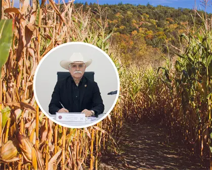 Productores de azúcar en Tamaulipas a favor de aranceles del 210% para frenar su importación