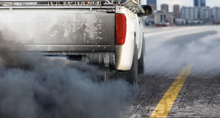 imagen-cuerpo imagen-cuerpo