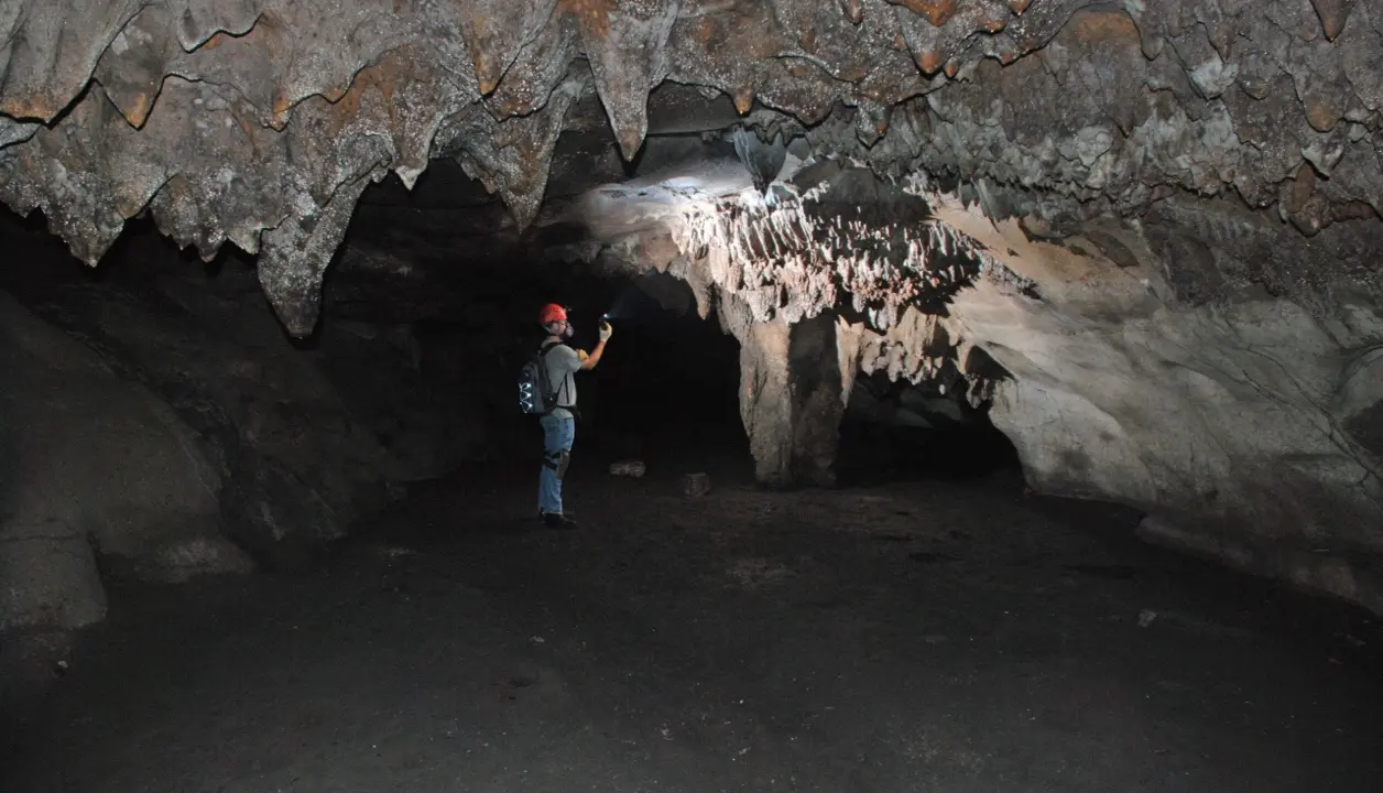 Los peces ciegos carecen de ojos y pigmento, además de poseer una coloración rosada o rojo pálido, miden en promedio de 4 a 6 cm de largo. Foto: Jean Louis Lacaille Múzquiz