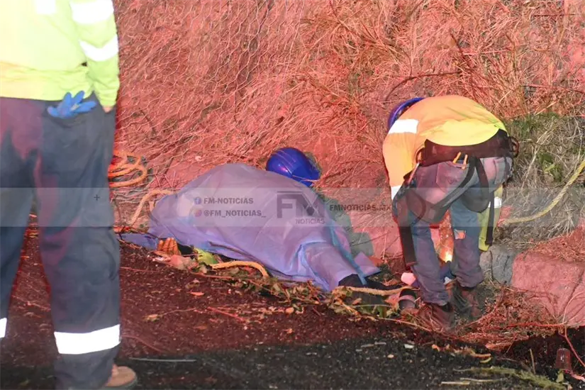 imagen recuadro Hombre trabajaba en la tumbó nuevo cae y pierde la vida. FOTO | FM Noticias.
