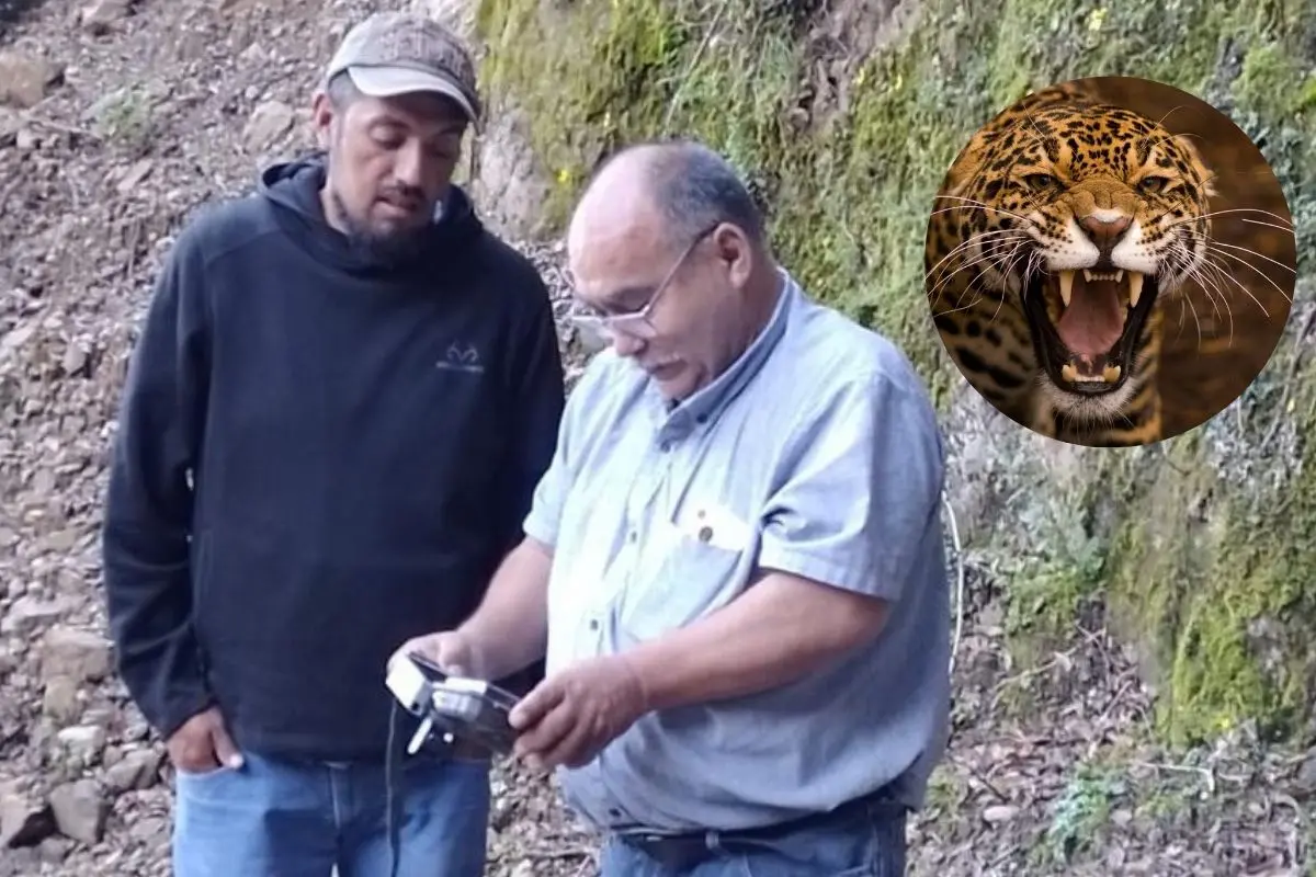 Personal de Parques y Vida Silvestre de Nuevo León busca detectar un jaguar en el Ejido La Encantada, del municipio de General Zaragoza. Foto: Facebook Parques y Vida Silvestre de Nuevo León / Blog Nasua