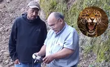 Parques y Vida Silvestre de Nuevo León busca un jaguar ¿cuál es el municipio con presencia de este felino? Parques y Vida Silvestre de Nuevo León busca un jaguar ¿cuál es el municipio con presencia de este felino?