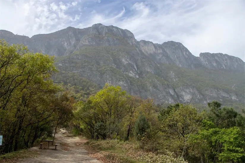 imagen recuadro El Parque Ecológico Chipinque cuenta con acceso controlado, miradores y áreas para comer. Foto: Facebook Parque Ecológico Chipinque