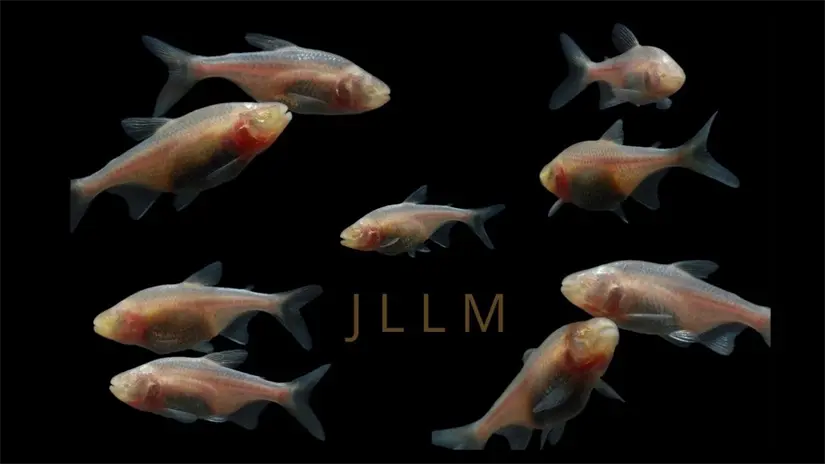 imagen recuadro En Tamaulipas se encuentra la Cueva del Pachón.