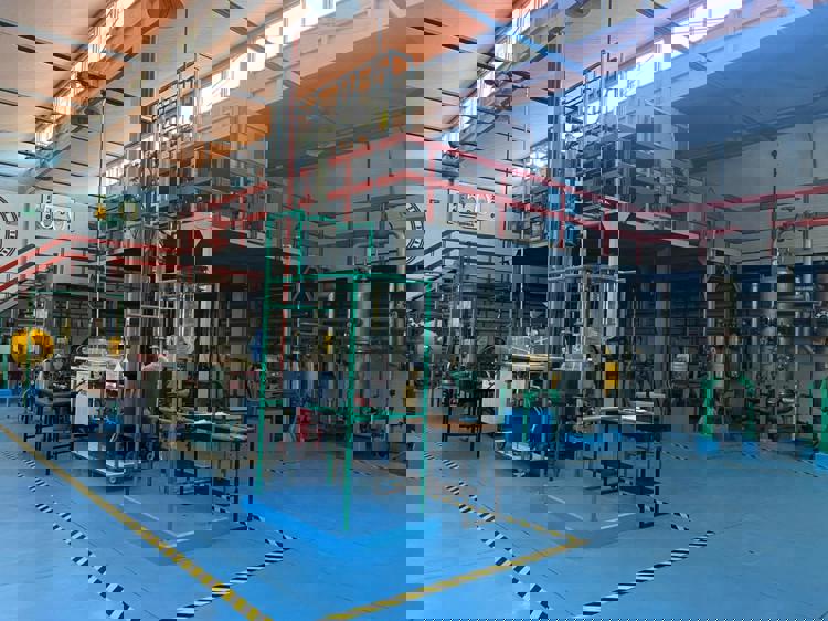 imagen-cuerpo imagen-cuerpo