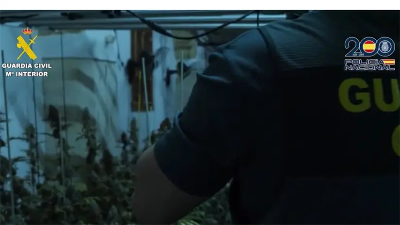 FOTO: Captura de pantalla | ¿Porqué se sospecha una conexión del CJNG y la Mafia Italiana?