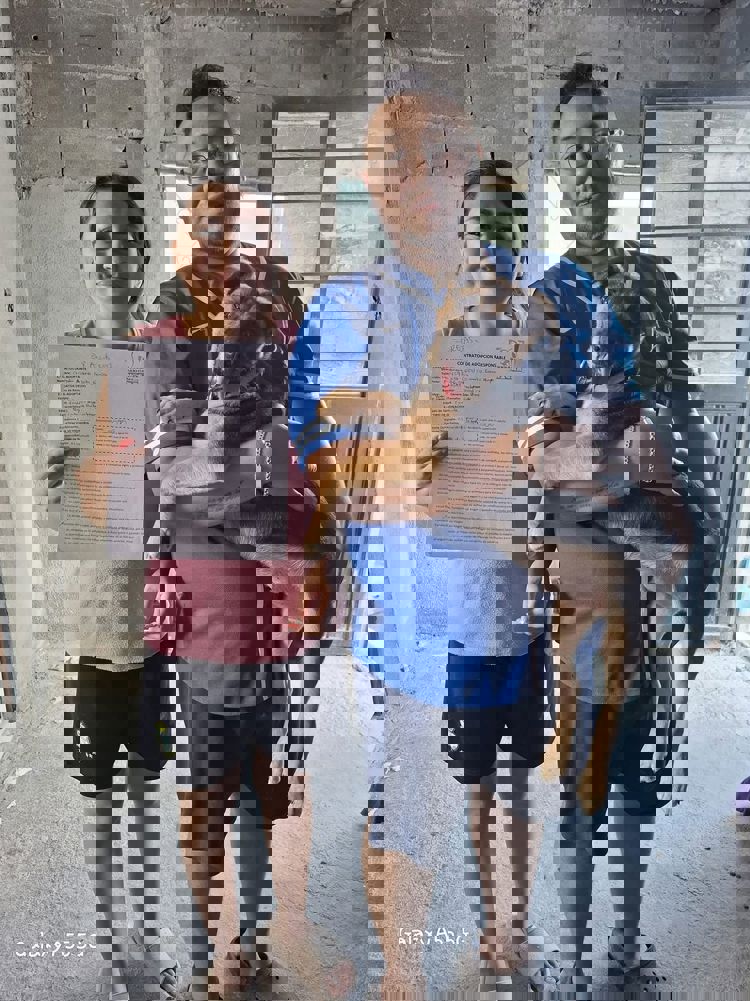 imagen-cuerpo imagen-cuerpo