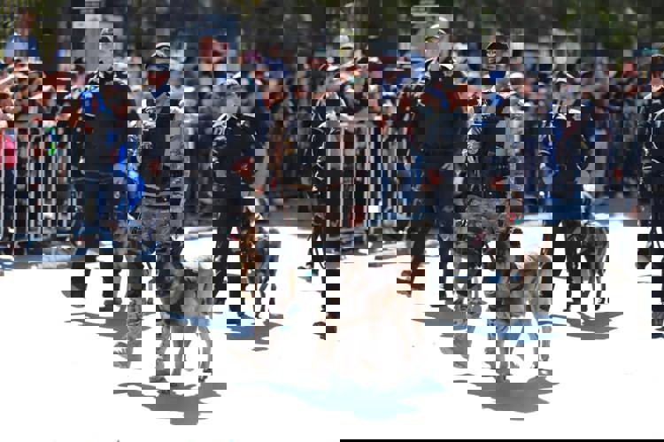 imagen-cuerpo imagen-cuerpo