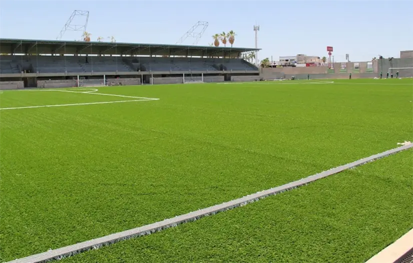 imagen recuadro Foto: SEPUIMM