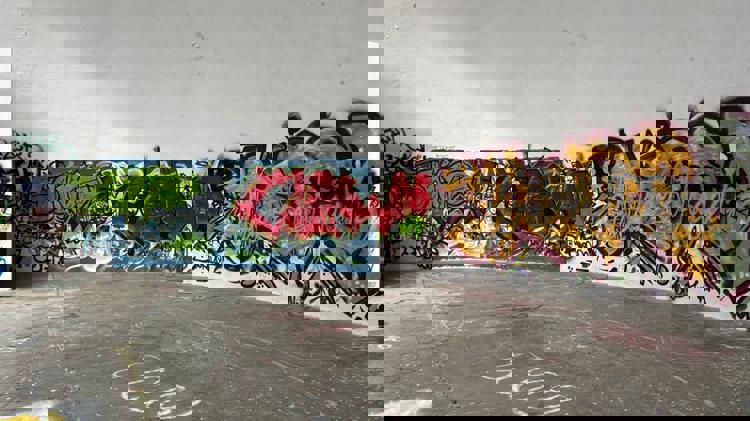 imagen-cuerpo imagen-cuerpo