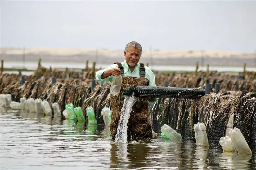 imagen recuadro Foto: Gobierno de México.