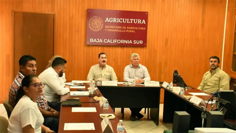 imagen recuadro Reunión de SEPADA con representantes de SADER y empresas productoras para revisar el acuerdo maíz–tortilla en Baja California Sur. Foto: SEPADA