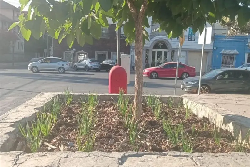 imagen recuadro Monterrey luzca digna, limpia y ordenada para los miles de visitantes. Foto: Gobierno de Monterrey