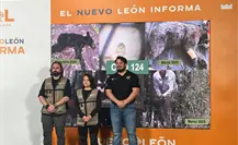 Conservación del oso negro en Nuevo León: Avances, rescates y participación en grupos internacionales