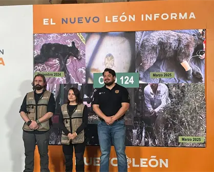 Conservación del oso negro en Nuevo León: Avances, rescates y participación en grupos internacionales