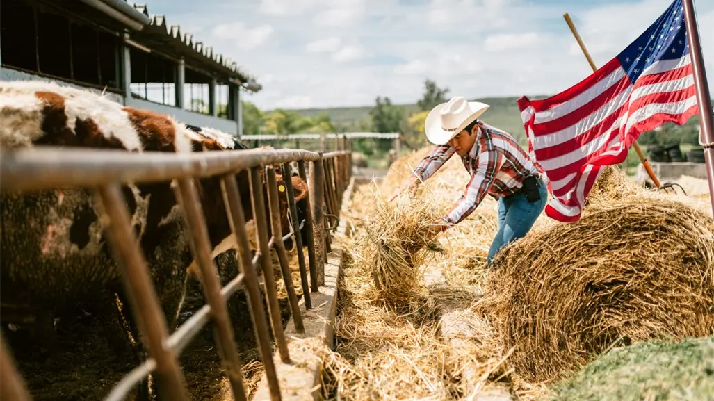 Coahuila ve la reactivación de exportación de ganado a EU poco viable en lo que resta del 2025