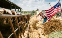 Coahuila ve la reactivación de exportación de ganado a EU poco viable en lo que resta del 2025 Coahuila ve la reactivación de exportación de ganado a EU poco viable en lo que resta del 2025