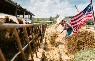 Coahuila ve la reactivación de exportación de ganado a EU poco viable en lo que resta del 2025