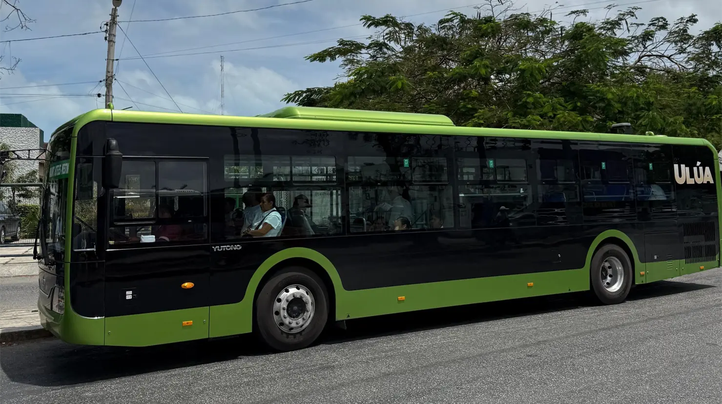 Los quintanarroenses podrán optar por alternativas dignas de transporte Foto: MOBI