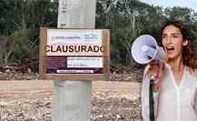 Continúan obras de Crío en Tzemé pese a clausuras del INAH y PROFEPA, denuncian comunidades mayas Continúan obras de Crío en Tzemé pese a clausuras del INAH y PROFEPA, denuncian comunidades mayas