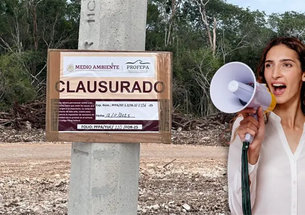 Continúan obras de Crío en Tzemé pese a clausuras del INAH y PROFEPA, denuncian comunidades mayas