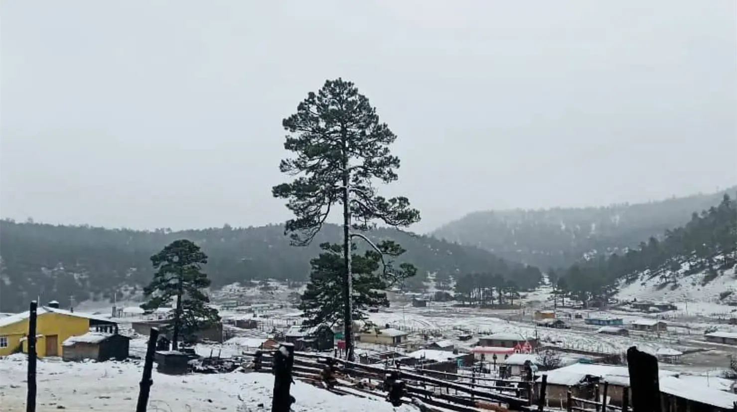 En esta región del estado se registran nevadas casi todos los años. Foto: FB La Rosilla Guanaceví Dgo.