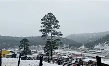 ¿Sabes en qué municipio de Durango cae nieve casi todos los años? ¿Sabes en qué municipio de Durango cae nieve casi todos los años?