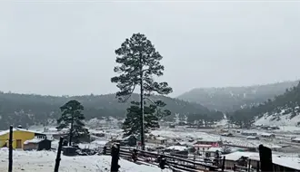 ¿Sabes en qué municipio de Durango cae nieve casi todos los años?