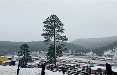 ¿Sabes en qué municipio de Durango cae nieve casi todos los años?