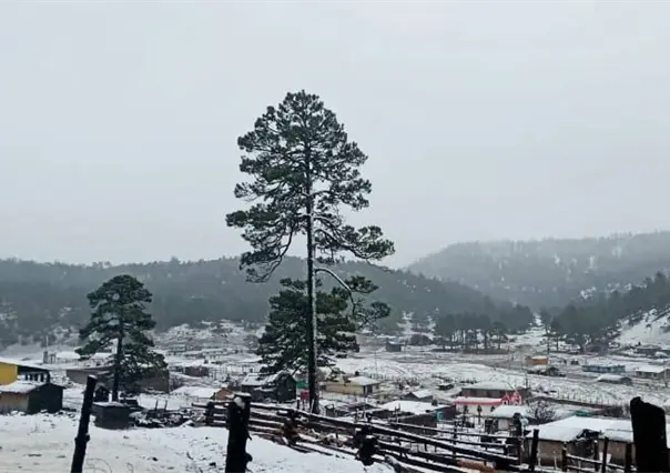 ¿Sabes en qué municipio de Durango cae nieve casi todos los años?