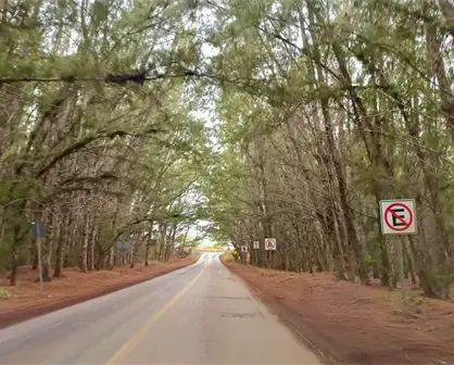 Playa Tesoro sin infraestructura turística y sin proyectos definidos