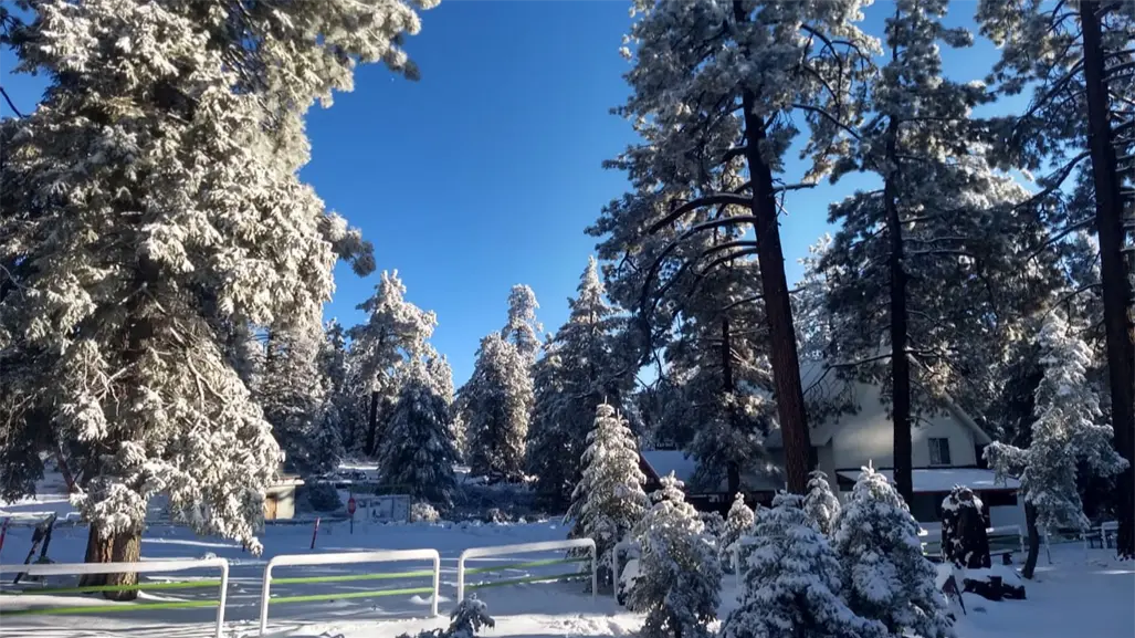 Primera nevada de otoño se registra en la Sierra de San Pedro Mártir, Baja California