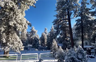 Primera nevada de otoño se registra en la Sierra de San Pedro Mártir, Baja California