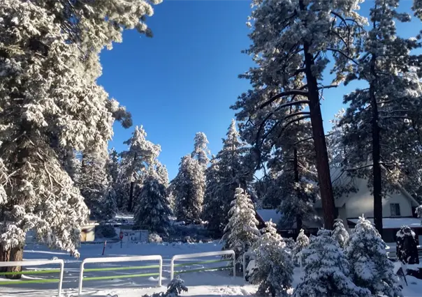 Primera nevada de otoño se registra en la Sierra de San Pedro Mártir, Baja California