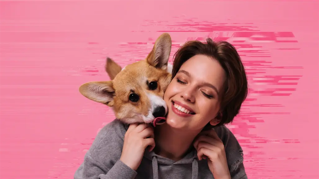 Google revela los 5 mejores regalos para tu mascota este 2025