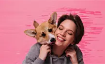 Google revela los 5 mejores regalos para tu mascota este 2025 Google revela los 5 mejores regalos para tu mascota este 2025