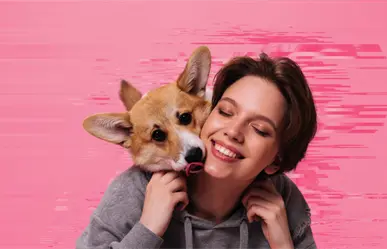 Google revela los 5 mejores regalos para tu mascota este 2025