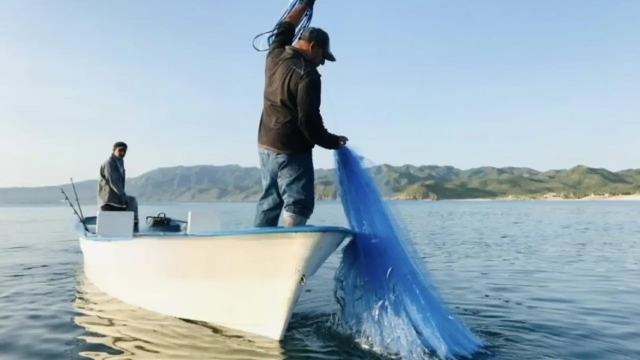 Este primer lugar se debe a un modelo de cultivo que integra desde la obtención de semilla hasta la cosecha final. Foto: NTCD.