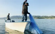 ¿Sabías que BCS tiene el primer lugar nacional en producción de ostión japonés?