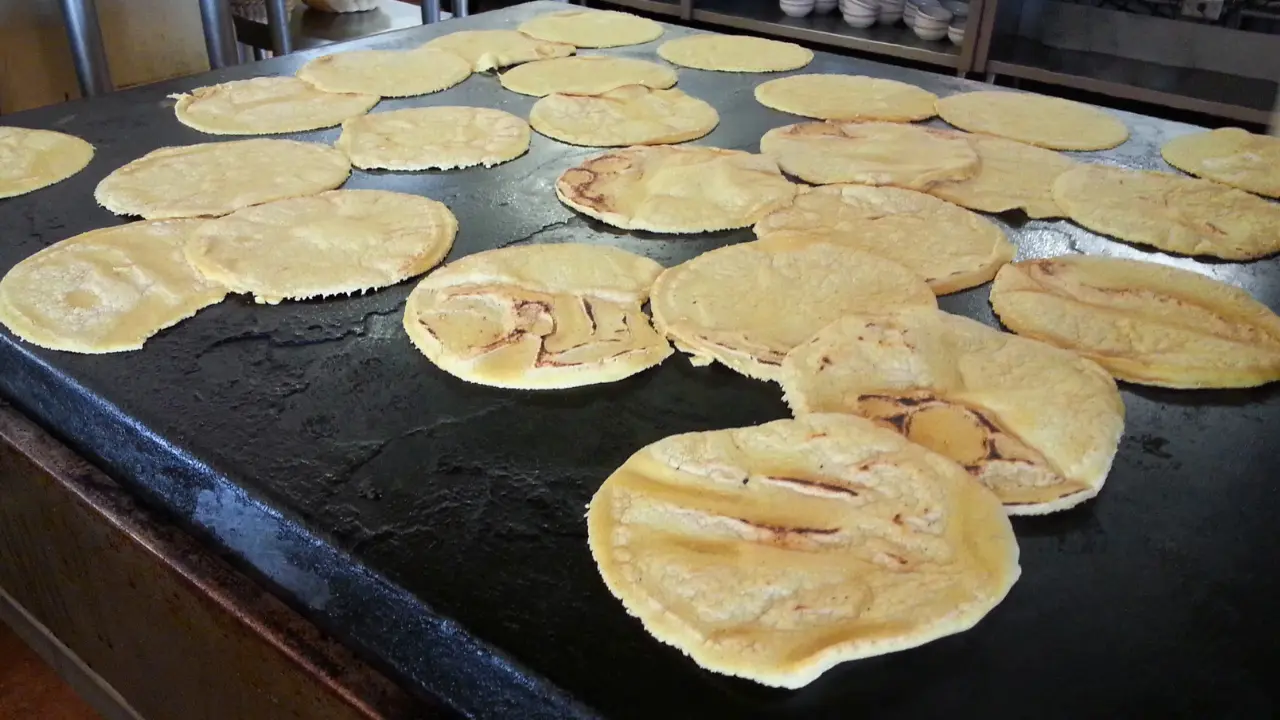 Autoridades estatales y federales revisan alternativas para garantizar abasto y estabilizar el precio de la tortilla. Foto: Canva