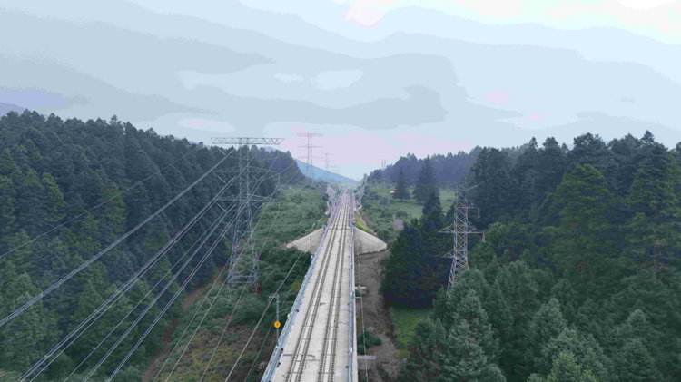 imagen-cuerpo imagen-cuerpo