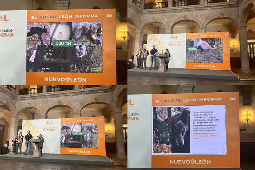 Ha sido clave para incorporar mejores prácticas, basadas en evidencia científica. Foto: Yarince Torres