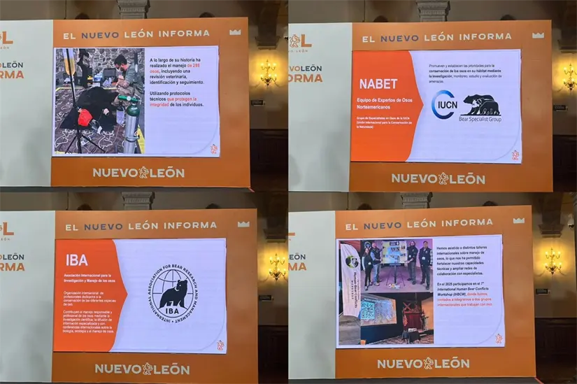 Los factores que más influyen en los conflictos entre humanos y osos es la presencia de basura. Foto: Yarince Torres