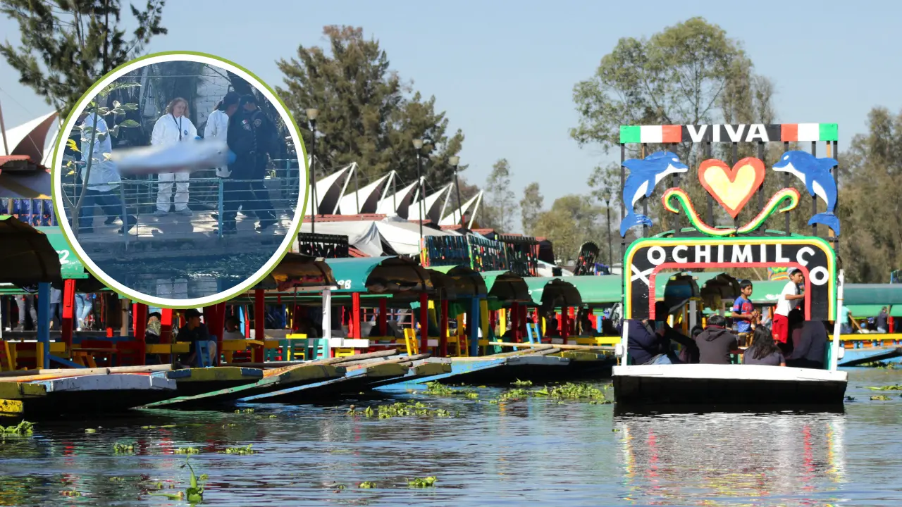Xochimilco y hallazgo de cuerpo en Xochimilco. Foto: cdmx.gob.mx y @AbejorroMedia | Canva