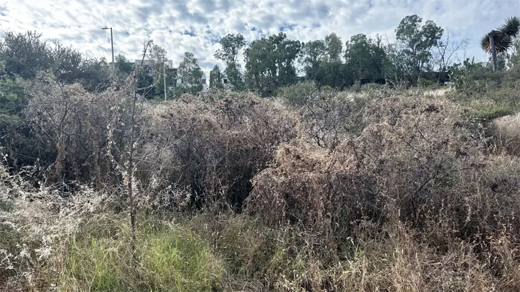 Estas son las recomendaciones de Protección Civil ante las bajas temperaturas en Durango